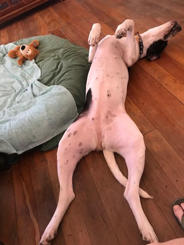 trinity lying on their back